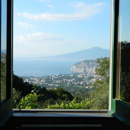 Gli Ulivi Agriturismo سانتّانييلّو المظهر الخارجي الصورة