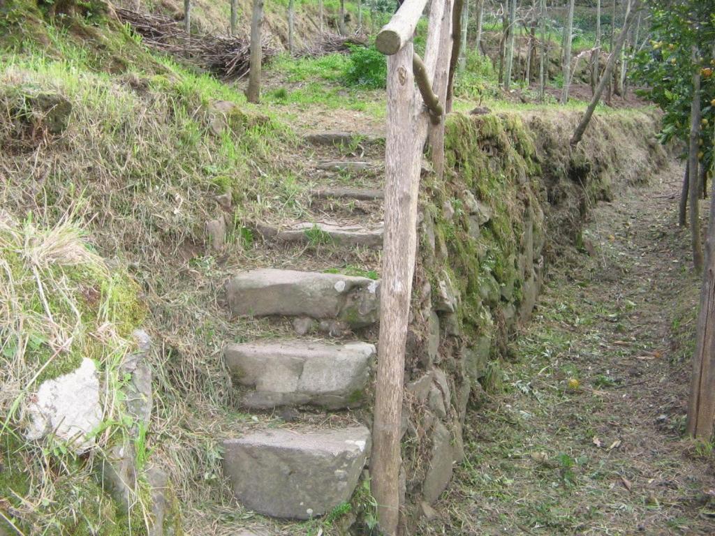 Gli Ulivi Agriturismo سانتّانييلّو المظهر الخارجي الصورة