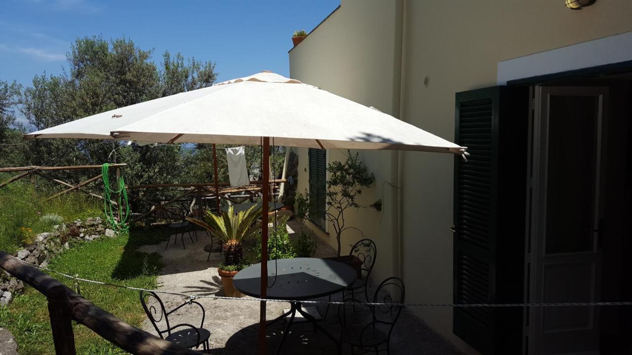 Gli Ulivi Agriturismo سانتّانييلّو المظهر الخارجي الصورة
