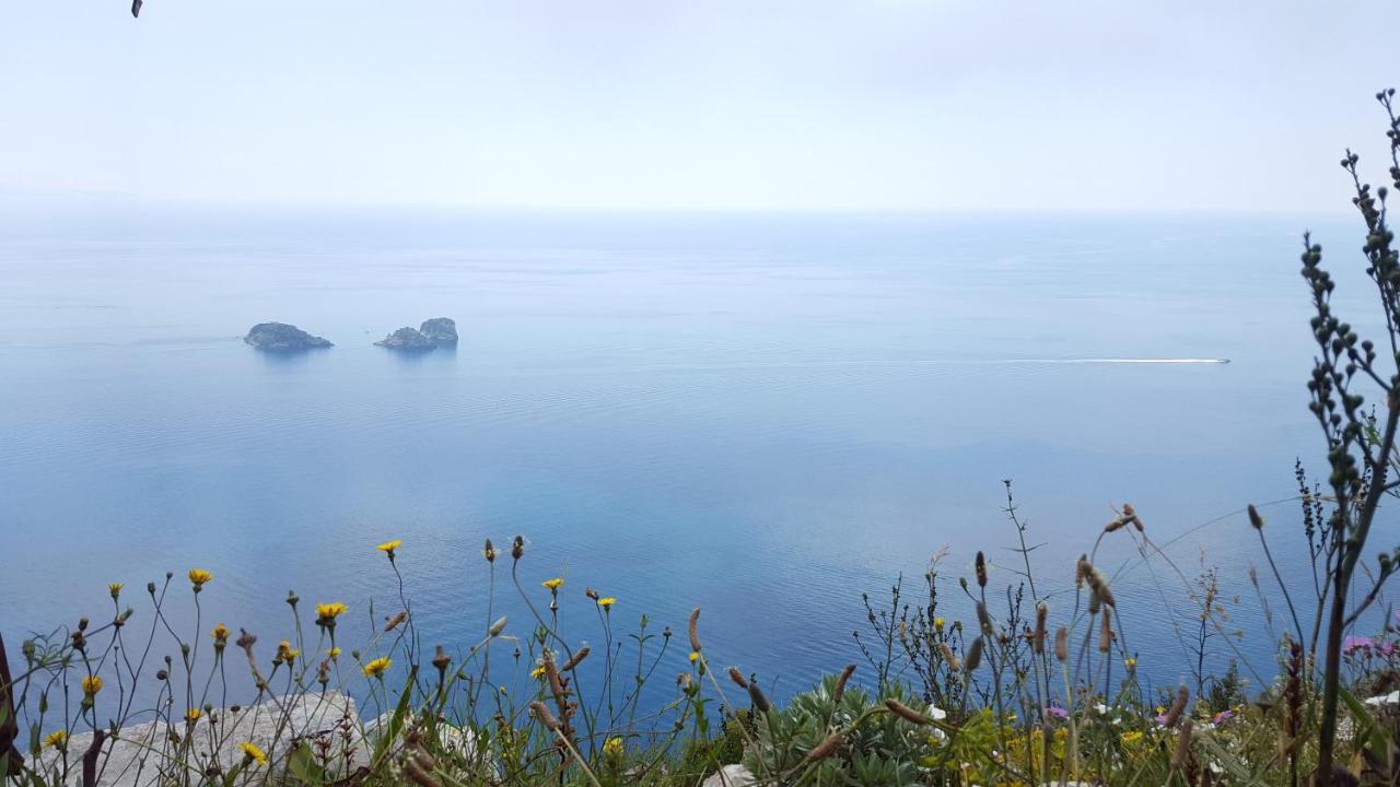 Gli Ulivi Agriturismo سانتّانييلّو المظهر الخارجي الصورة