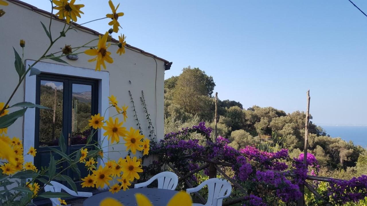 Gli Ulivi Agriturismo سانتّانييلّو المظهر الخارجي الصورة