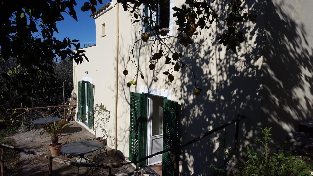 Gli Ulivi Agriturismo سانتّانييلّو المظهر الخارجي الصورة
