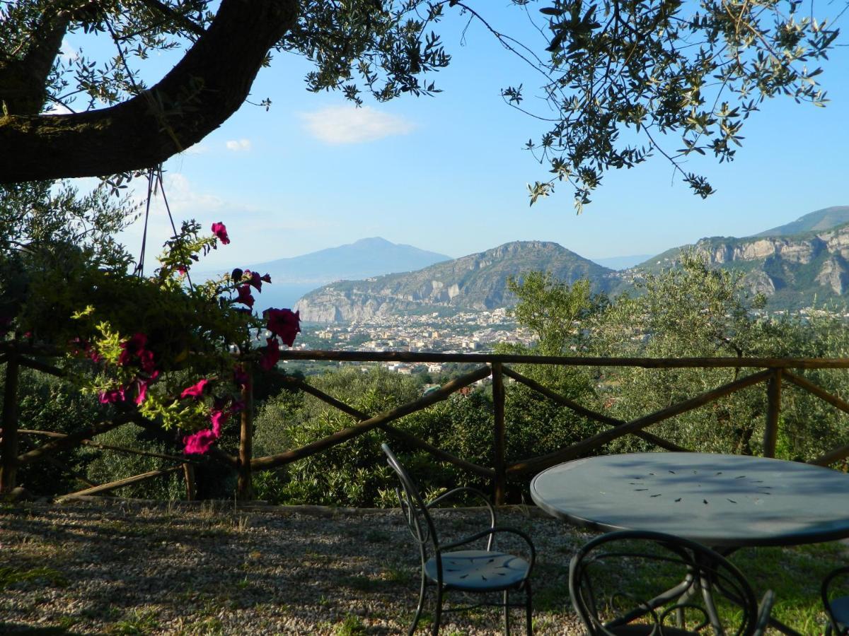 Gli Ulivi Agriturismo سانتّانييلّو المظهر الخارجي الصورة