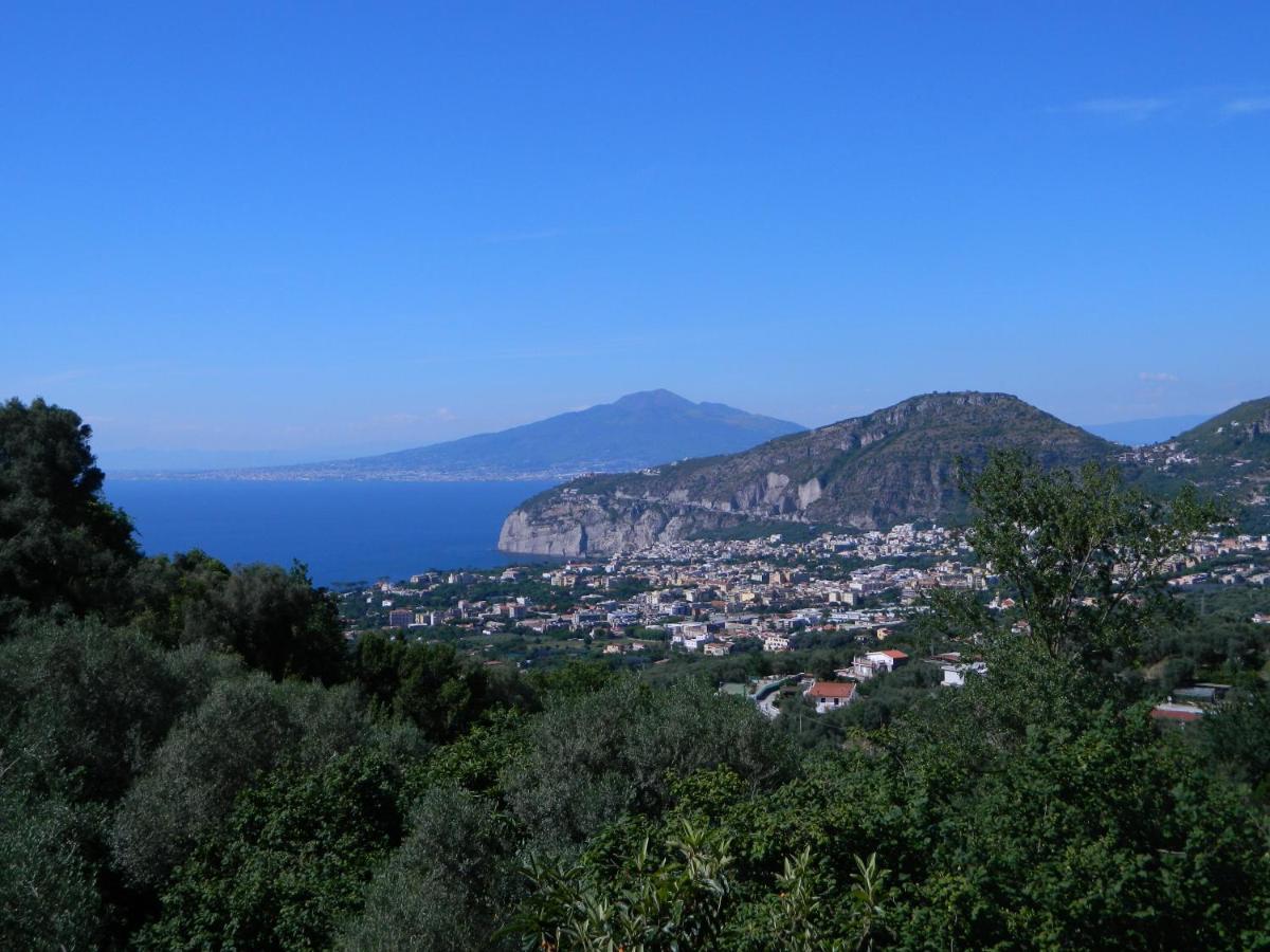 Gli Ulivi Agriturismo سانتّانييلّو المظهر الخارجي الصورة