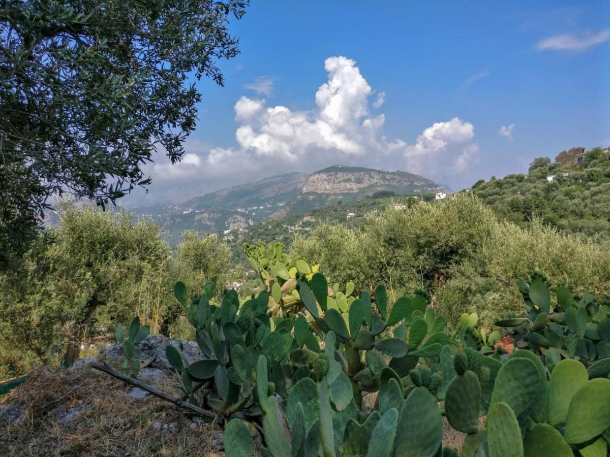 Gli Ulivi Agriturismo سانتّانييلّو المظهر الخارجي الصورة